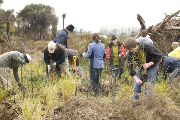 Community restoration project underway at Lake Maratoto